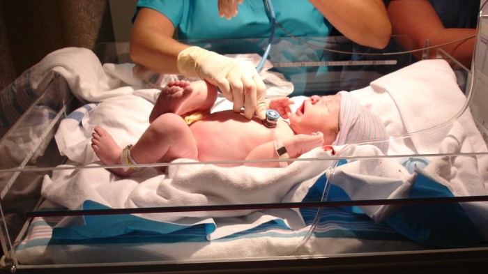 newborn_checkup