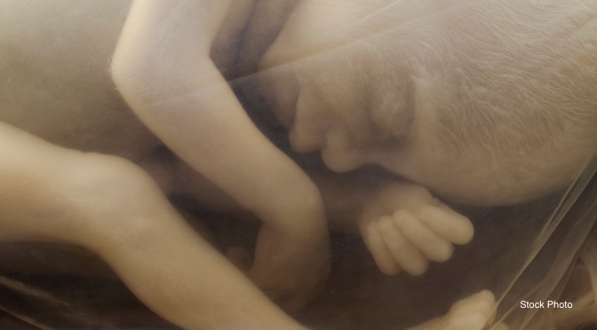 20-week-old-baby-in-utero-preborn